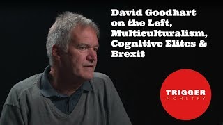 David Goodhart on the Left, Multiculturalism, Cognitive Elites &amp; Brexit