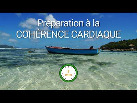 Cohérence Cardiaque 5 Minutes : Guide Respiratoire Visuel