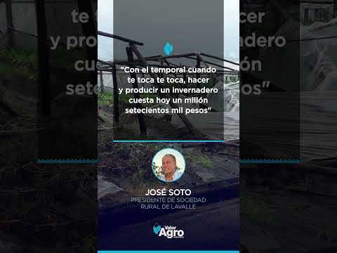🌪️ Temporal feroz en Corrientes: destrozos, pérdidas millonarias y angustia en el campo 🚜💔