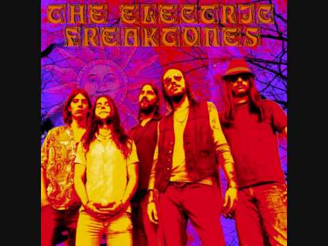 The Electric Freaktones - Experience