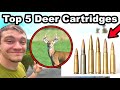 Top 5 Deer Hunting Cartridges For Beginners