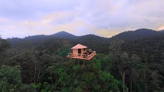 Beyond the Canopy – Building Shelters Where Only Birds Dare Go | bushcraft skills
