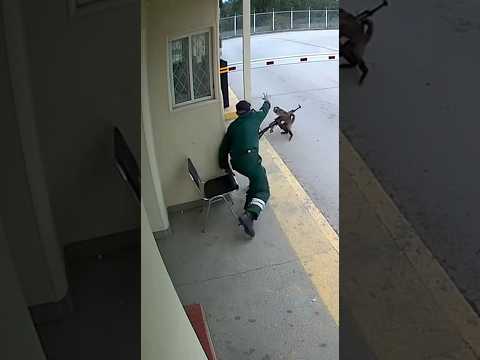 Unexpected moment #army #monkey #rocketlaunch #viralvideo #military