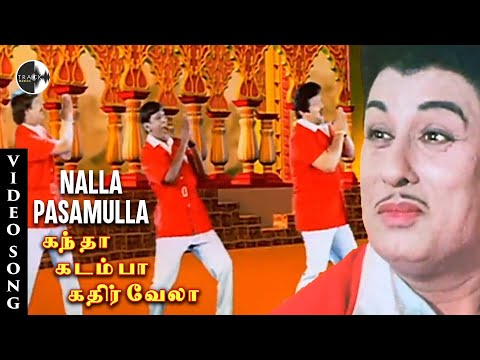Song Cover Art for Nalla Pasamulla