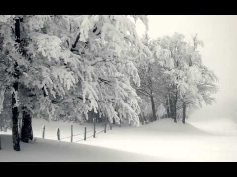 Bijeli Bozic (English version White Christmas) - Milka Cakarun Lenac