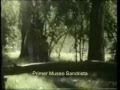 SANDRO DE AMERICA....TE LLEVO BAJO MI PIEL......wmv