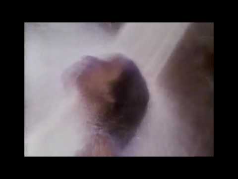 Infinity Frequencies - Sunset Limited