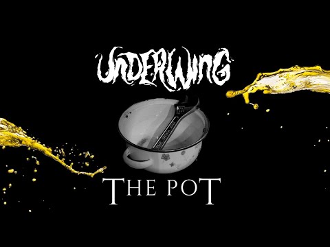 OFFICIAL MUSIC VIDEO: The Pot - TOOL (cover by Underwing)