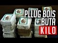 Pllug Bois & Buta - Kilo