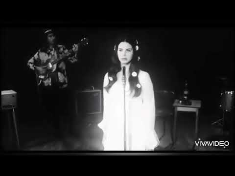 Tefta Del Rey - Zare Trendafile