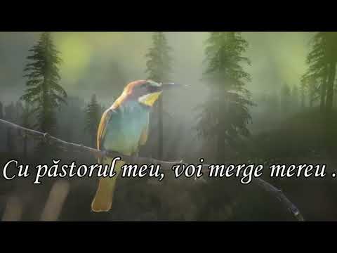 Cu Păstorul meu, Karaoke by Ovi
