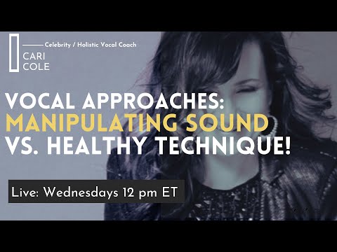 Examining Vocal Techniques: Manipulating Sound Vs. Building A Strong Vocal Foundation