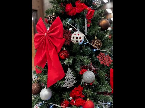 Božićni koncert 2026. /RTV Vranje 8.01.2026./