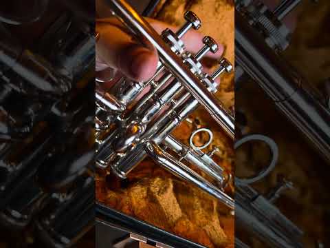 Trumpet Amati Kraslice ATR 202 image 21