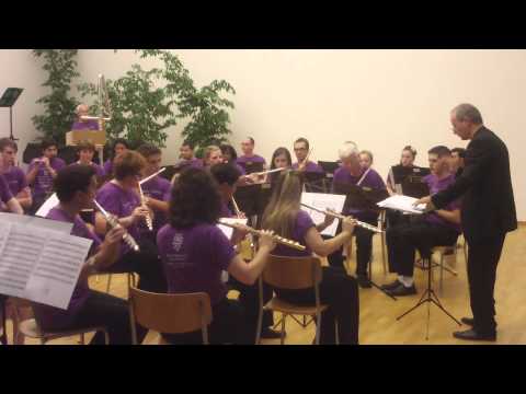 Vincenzo Sorrentino: Fluten II Galway Flute Choir -Nicola Mazzanti