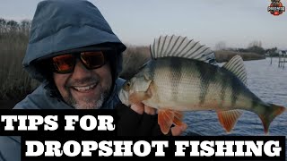 The SHOCKING Truth About Dropshot Fishing for Perch Exposed | Dropshot Fishing V