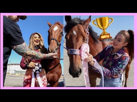 WHAT WE WON AT THE 2019 AQHA WORLD SHOW!!