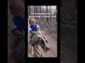 I’m a big dog big bear