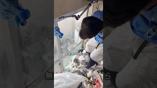 【危険】ゴミの圧力で窓ガラス崩壊寸前…！？プロが挑むゴミ屋敷片付けのリアル #shorts