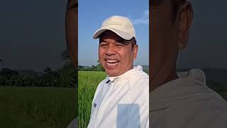 Download lagu Hayo siapa Yang Gak Mau Makan  Kang Dedi Mulyadi https://bit.ly/supportdonation mp3