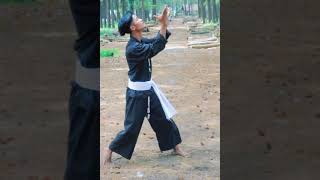Download lagu pembukaan SH terate mp3