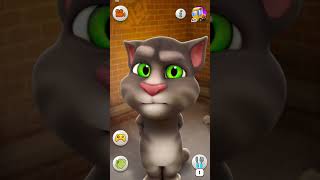 Talking Tom Cat #shorts