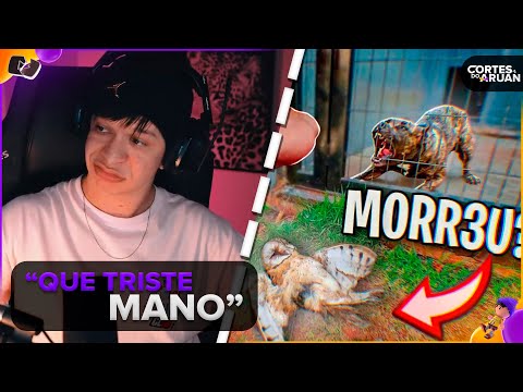 ARUAN REAGE: O QUE ACONTECEU COM OS ANIMAIS DO RENATO GARCIA? (CONEXÃO RENATO GARCIA)