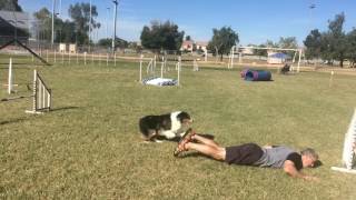 Dan&#39;s Awesome Agility Moves Updated