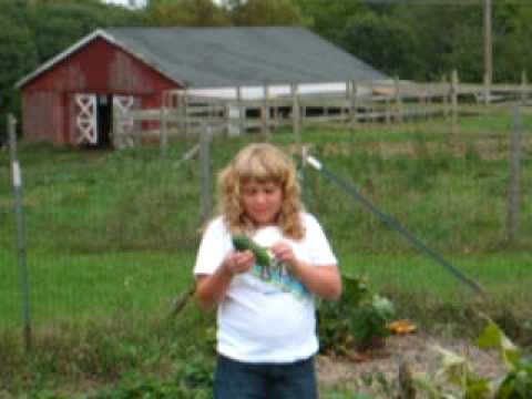 download lagu mp3 mp4 Why Are My Cucumbers Prickly, download lagu Why Are My Cucumbers Prickly gratis, unduh video klip Why Are My Cucumbers Prickly