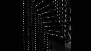 Damaged Bug - &quot;The Mirror&quot; Extended Cut