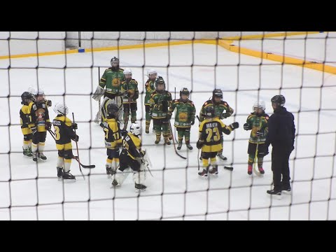 Pingviinit Keisarit - Ilves tytöt U8 IT-sarja