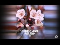 Cedric Zeyenne - Over Again (Mart Radio Edit ...