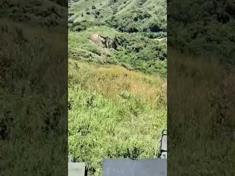 C0MBATES Y UN CAMPAMENTO DESTRUlDO.