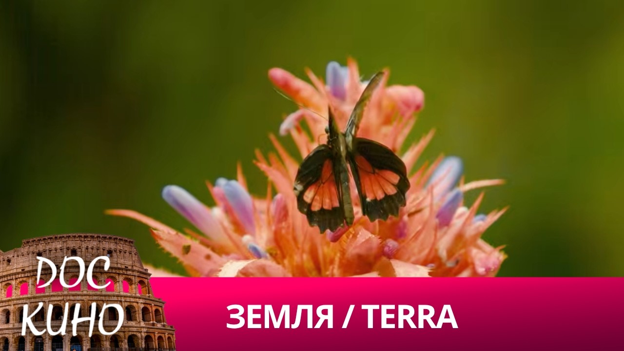 🎭 ЗЕМЛЯ / TERRA 🌎 ДОКУМЕНТАЛЬНОЕ КИНО 🎆 2024