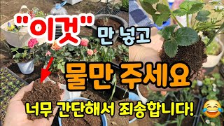 꽃심는시기 화분분갈이 흙 상토 모종 심을때 이것 넣고 물만 뿌려주세요 작물이 잘 자라고 병해충 걱정도 없어요…