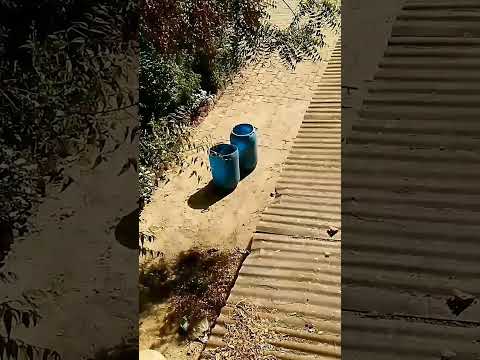 #rap 😱😱😱😱😱 #shorts #tranding #viralshort #shortvideo