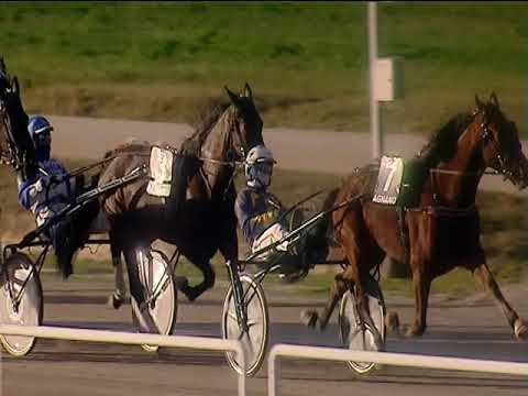 Trotto 31/12/2018 - 3ª corsa