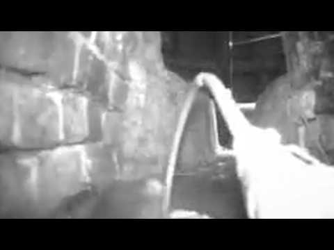 20 creepy photos: When the wildlife camera shows the impossible