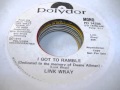 I Got To Ramble - Link Wray