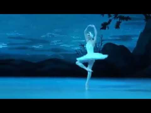 Ekaterina Borchenko as Odette   Dance&Ballet