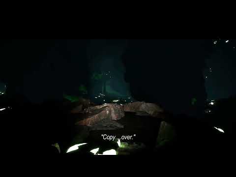 Echo in Capistrano youtube-video