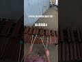 Joe Porter Fun Percussion Shorts Videos All COMBINED