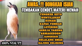 Download lagu BURUNG CENDET GACOR BONGKAR MATERI KEKINIAN 100% MEWAH mp3