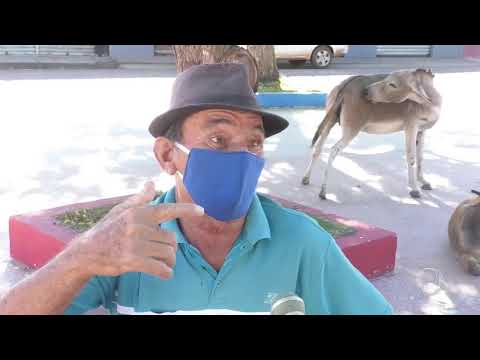 TV PIO XII CANAL 8 - 16/06/2020 - #77