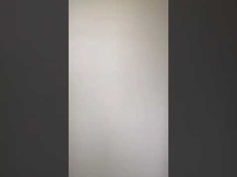 3030 Grand Champion - Video 2 of 2