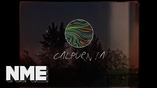 Calpurnia -Greyhound  Song Stories