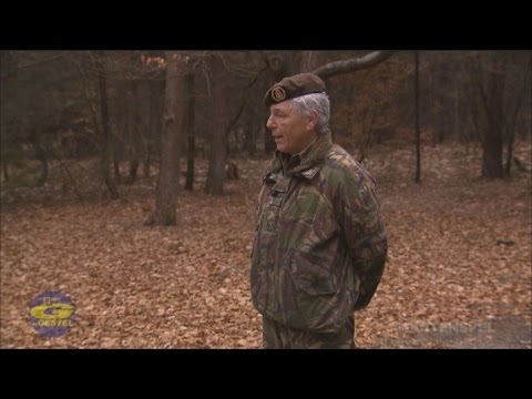 Brabander scheldt sergeant uit