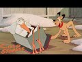 Cold Storage 1951 Disney Pluto Cartoon Short Film Pinto Colvig Jimmy MacDonald Animation Review
