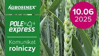 Zabieg T3 w zbożach ozimych | Komunikat Rolniczy