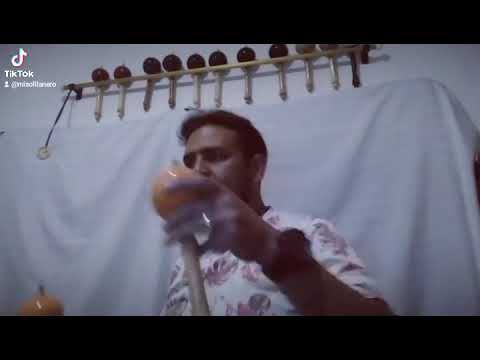 Wilmer Montilla en @MiSolLlanero #arpa #elorza #Venezuela #Colombia #musicallanera #maracas #Llano